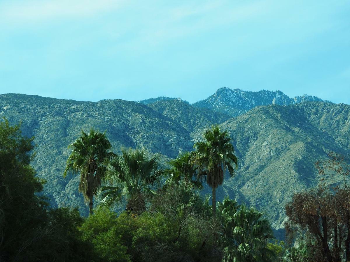 Tuscany Manor Palm Springs Eksteriør bilde